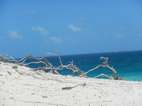 4-dunes-on-p-tamarindo