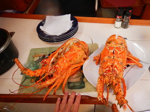 1.More Lobster