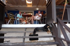 Antigua to  St. Martin