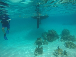 DCIM120GOPROGOPR0114.JPG