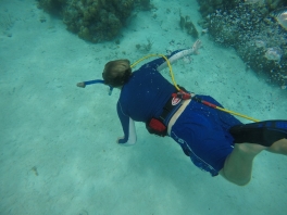DCIM120GOPROGOPR0115.JPG
