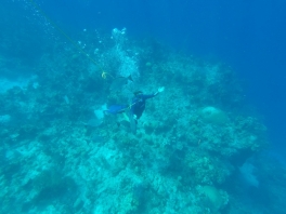 DCIM120GOPROGOPR0593.JPG