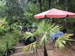 jans-island-resort