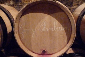Burgundy Valley 