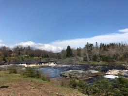 Liscombe-river