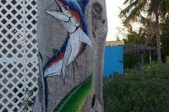 Cape Santa Marta-Hawks Nest-Cat Island