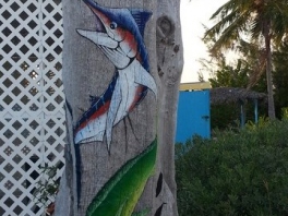 hawks-nest-marina