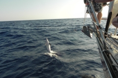 Corfu to Siracruse Italy