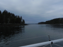Roque-Island-anchorage
