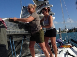 sail-management
