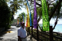 Grenada, Union Island, & St. Lucia