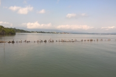 Jamaica to Guatemala