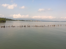 a-Grateful-REd-arrival-Amatique-Bay
