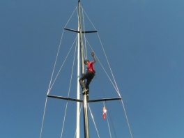 Joey-up-the-mast