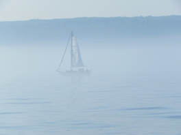 morning-fog