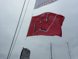 Badger Flag