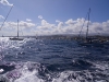at-the-start-line