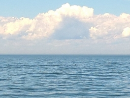 blue-water-sailing