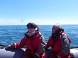 Whale-watching-Brier-Island-NS