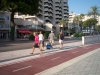 palma-3