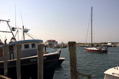Martha's Vineyard