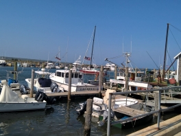 f.-East-Coast-5