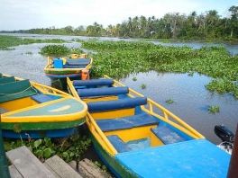 DSCN0274