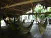 deep-jungle