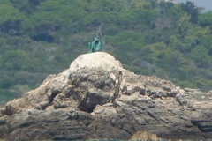 Palma-Barcelona to St-Tropez