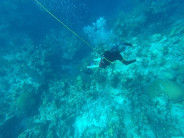DCIM120GOPROG0010582.JPG