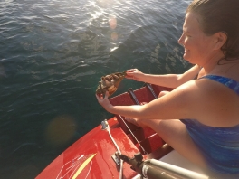 DCIM120GOPROGOPR0258.JPG