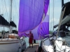 airing-the-spinnaker