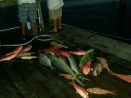 Long-island-catch