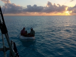 night-arrivals-at-stella-maris