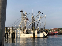 Sandwich-Marina-neighbor-7-19