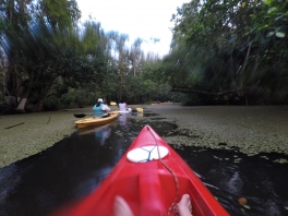 DCIM100GOPROGOPR1142.JPG