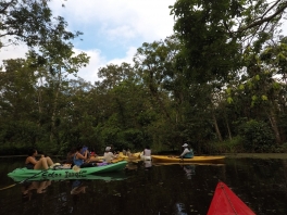 DCIM100GOPROGOPR1154.JPG