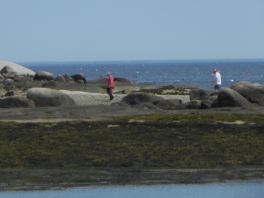 island-exploring
