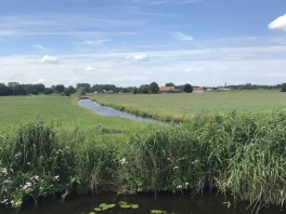 Countryside