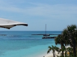 Grateful Red - Highbourne Cay