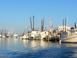 20140415_072159