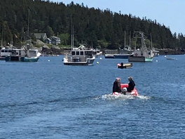 ken-ellen-lobster-foraging